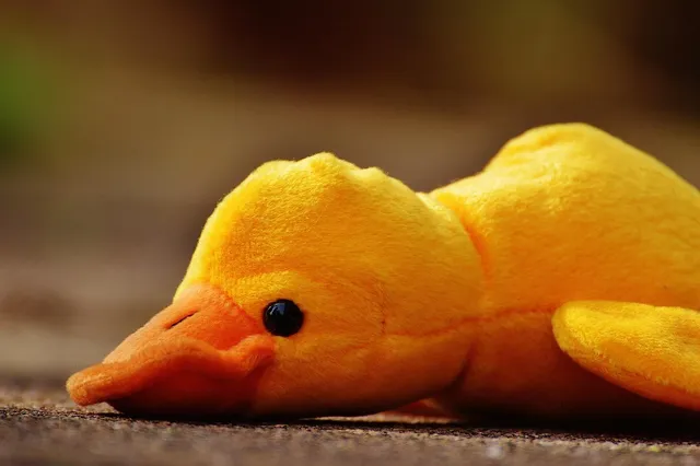 Elvis the Duck | mint