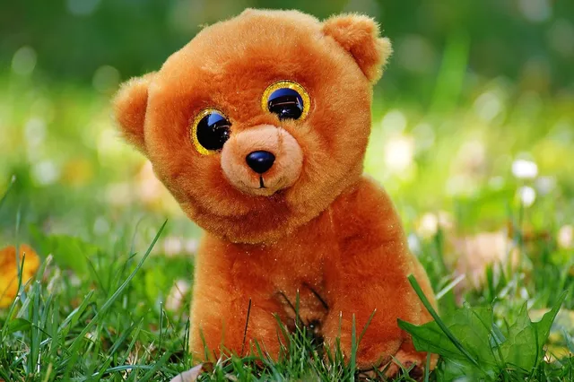 *COMING BACK SOON* TEDDY TOKKI | OTTER