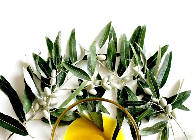 OLIVE OIL LOTION - 125ml