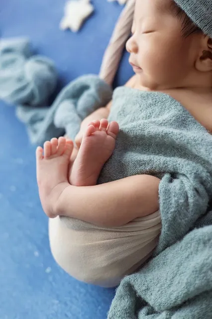 Swaddle magnolia tree | peach
