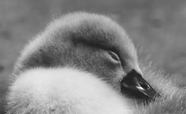 TIE DYE SWADDLE | luna