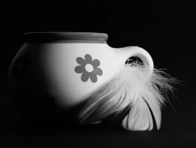 Drinking Cups | Ivory