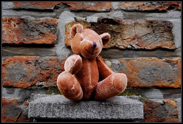 *COMING BACK SOON* TEDDY TOKKI | OTTER
