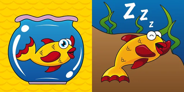 zipper sleeper - golden