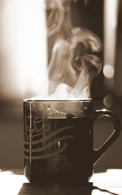 Drinking Cups | Smoke