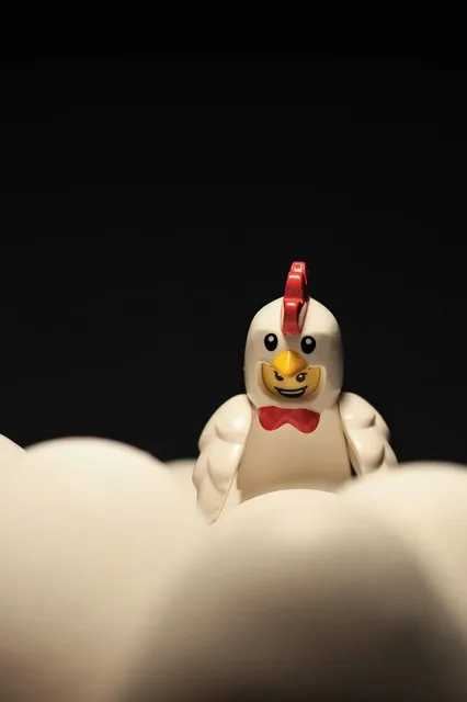 Benedict the Chicken (last one)