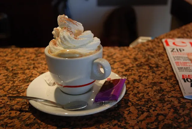 baby jogger | Cappucino