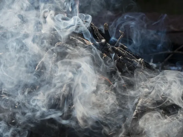 Round Plates | Smoke