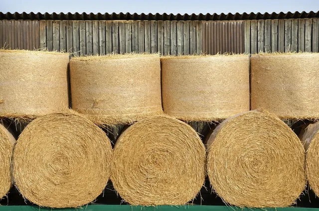 wheat straw dinner set