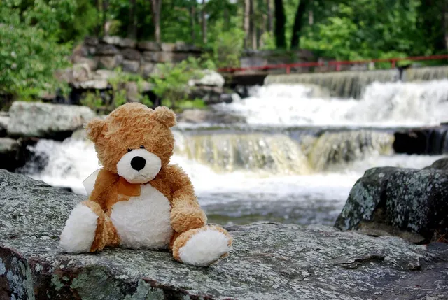 *coming back soon* TEDDY TOKKI | Brick