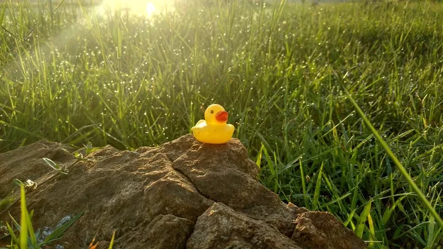 Elvis the Duck | mint