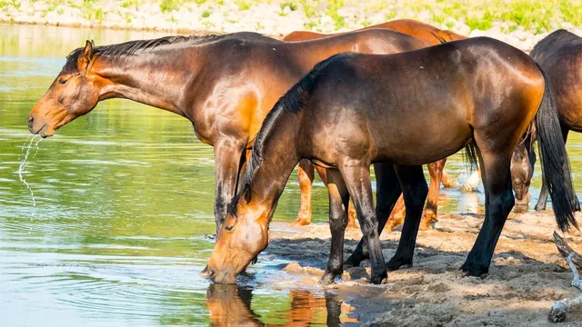 Drinking Cups | Cloud (last set)