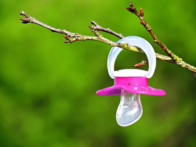 Bibs Pacifier - Blush (2-pk)