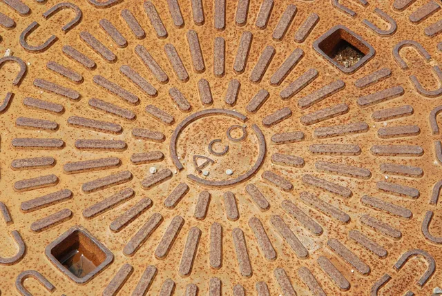 Round Plates | Woodchuck
