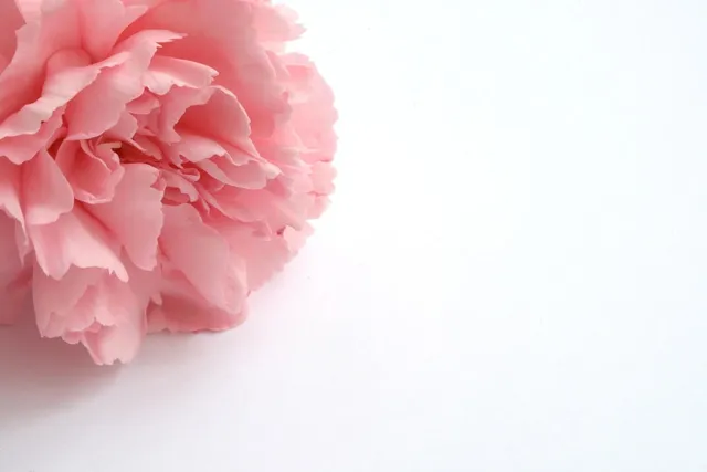 Sustainable Sunnies | Pink