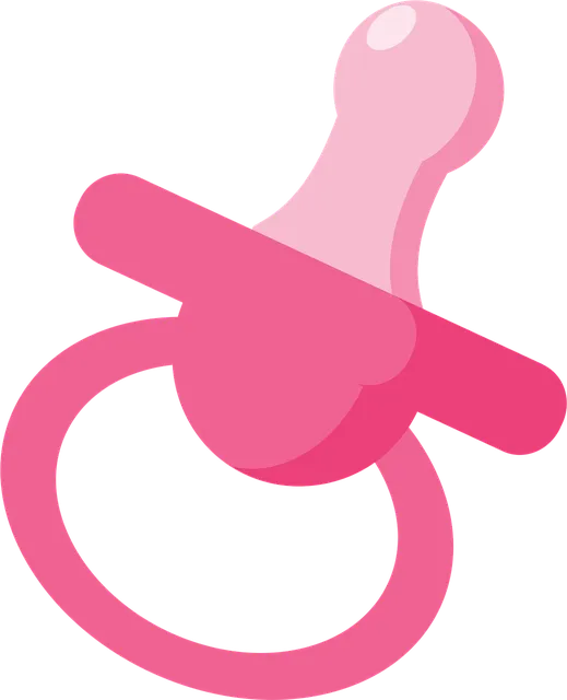 Bibs Pacifier - Black (2-pk)