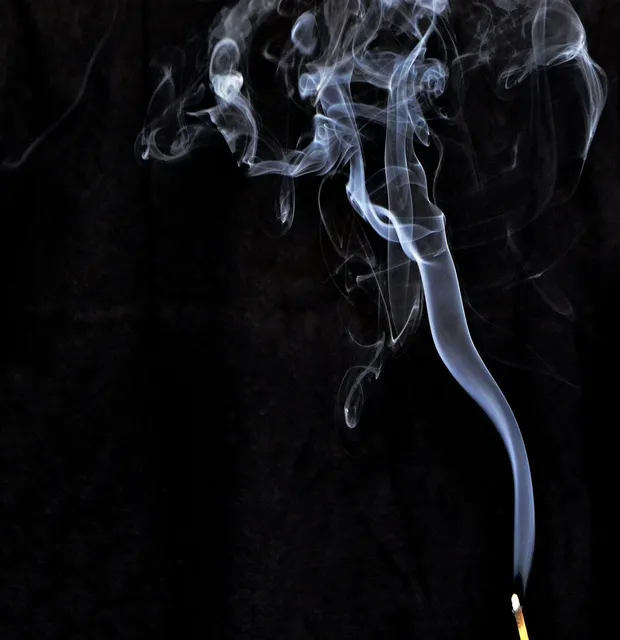 Round Plates | Smoke