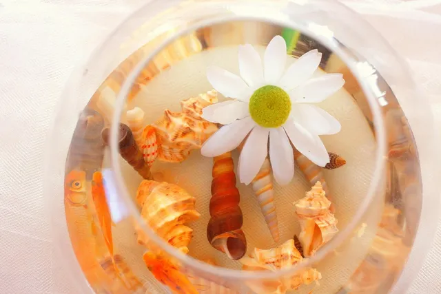 Round Bowls | Vanilla