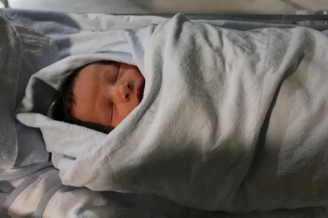 Swaddle leafy sprig | gray