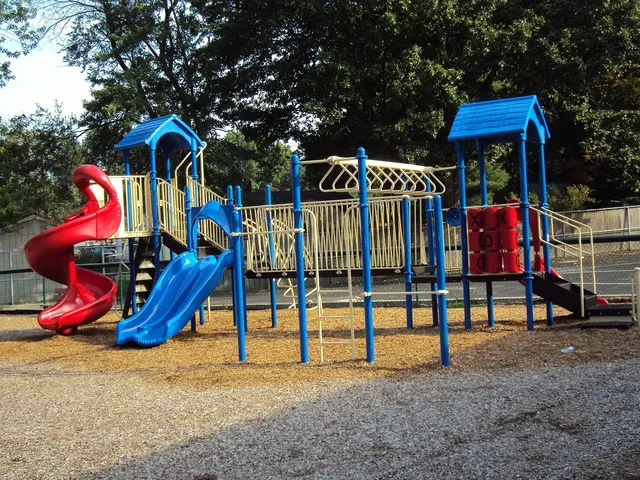 Play gym | natural